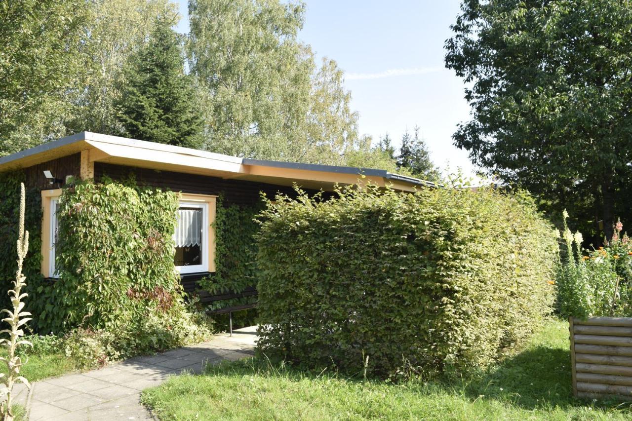 Waldglueck Holiday home